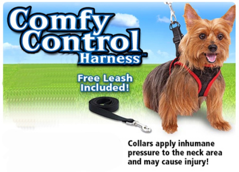 Comfy Control Köpek Tasması