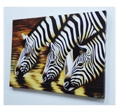 Zebra Dekoratif Kanvas Tablo (50X70 Cm)