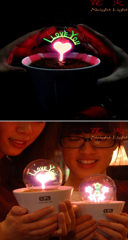 Romantik Saksı Gece Lambası - I Love You