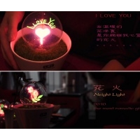 Romantik Saksı Gece Lambası - I Love You